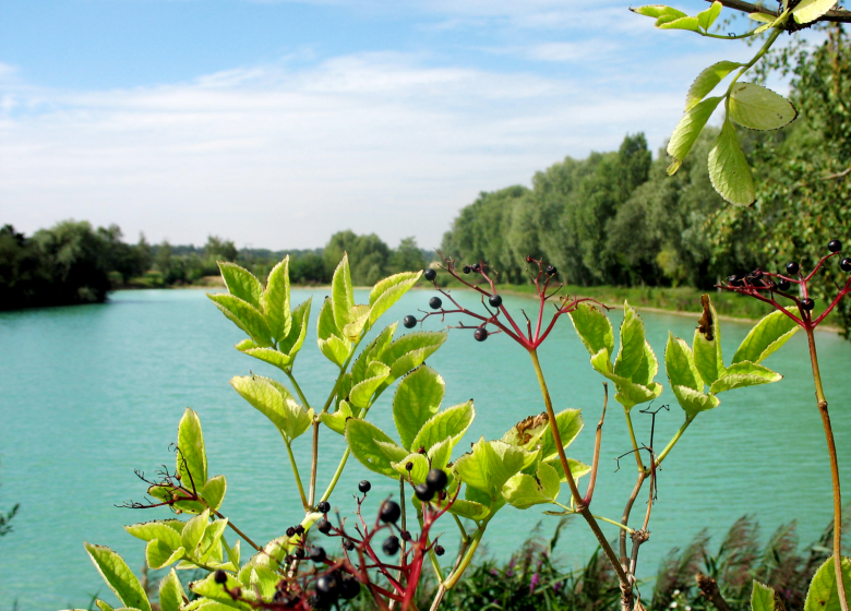 Etang Sainte-Barbe - Derechos de autor : Creil Sud Oise Tourisme