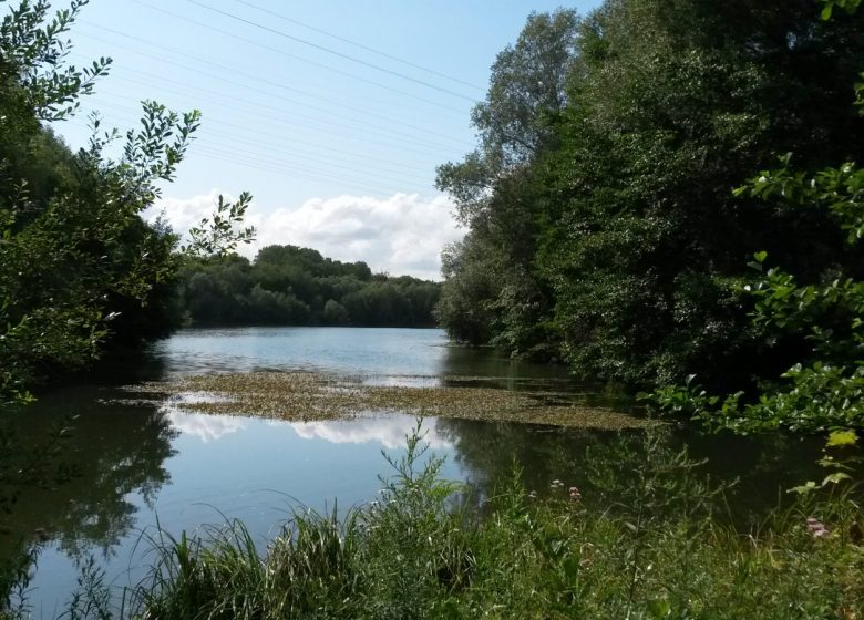 Etang de Thiverny - Copyright : Creil Sud Oise Tourisme_Riaudel Floriane