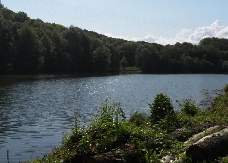 Etang de Thiverny - Auteursrecht: Creil Sud Oise Tourisme_Riaudel Floriane