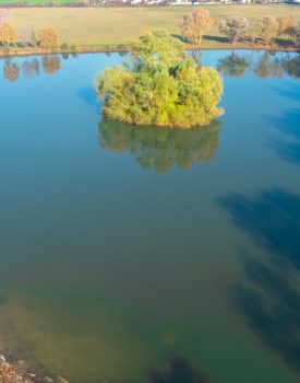 Etang Sainte-Barbe