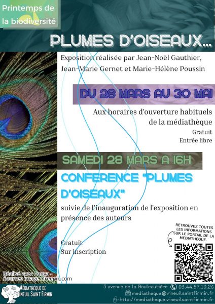 Exposition « Plumes d’oiseaux » à la médiathèque de Vineuil-Saint-Firmin