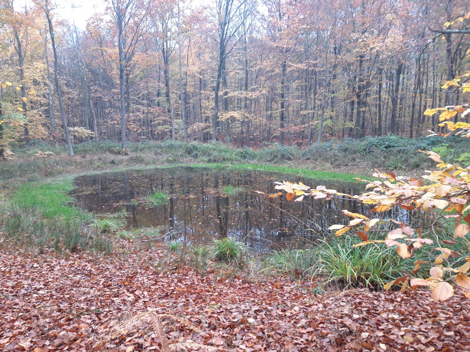 En passant par les mares et fontaines
