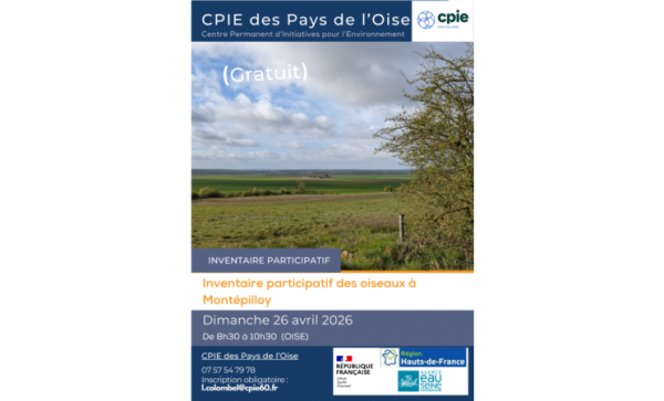 Inventaire Participatif des Oiseaux à Montépilloy