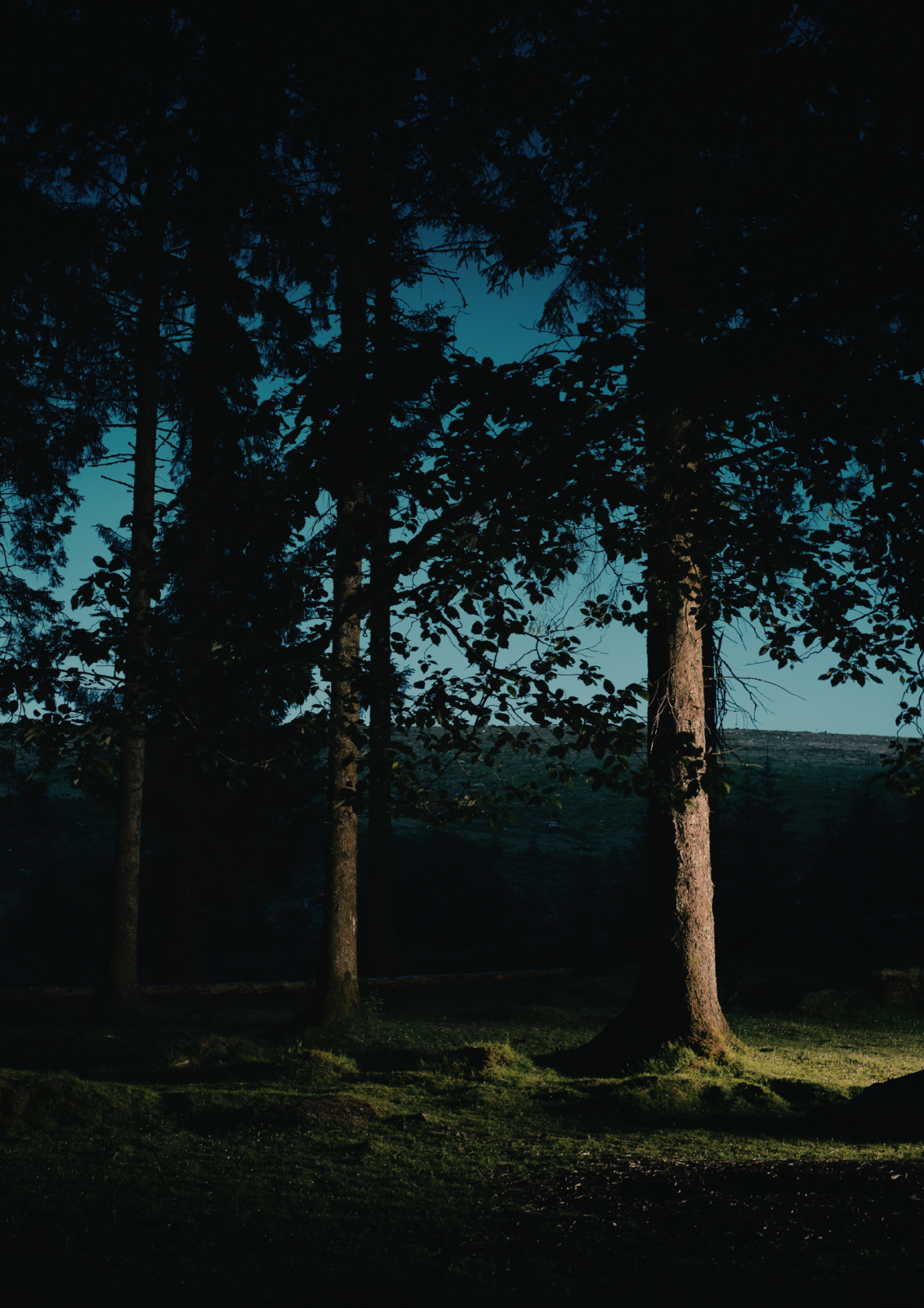 Nuit des Forêts – Randonnée historique sur le thème de l&rsquo;archéologie en forêt de Chantilly