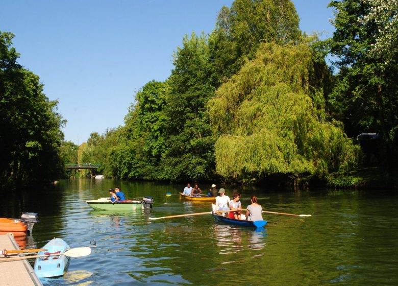 Club d'aviron (Étoile Nautique de l'Oise) - Droit d'auteur : Creil Sud Oise Tourisme - Anthony Tartaglione