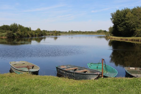Balade découverte du marais