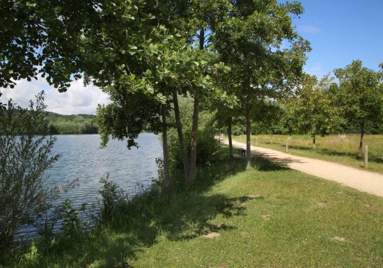 Parc urbain du prieuré