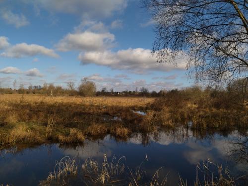 Journée mondiale des zones humides : le Marais de Sacy, un incontournable !