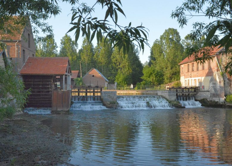 Musée Moulin Brosserie de Saint Félix - Droit d'auteur : Musée Moulin Brosserie de Saint Félix