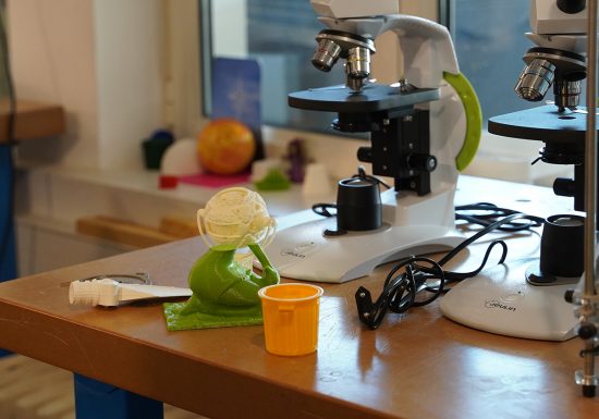 La Maison des Activités Scientifiques Technologiques et Environnementales (Haus der wissenschaftlichen, technologischen und umweltbezogenen Aktivitäten)