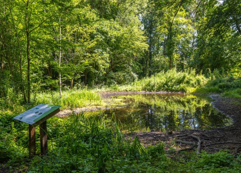Marais Monroy - Copyright : Creil Sud Oise Tourisme