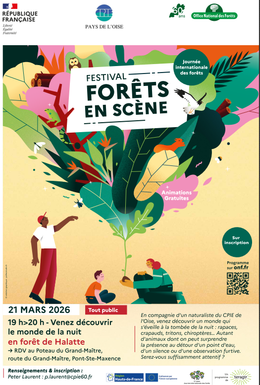 Le monde de la nuit en forêt d’Halatte