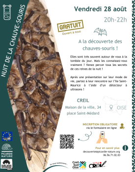 Nuit de la chauve-souris | À la découverte des chauve-souris