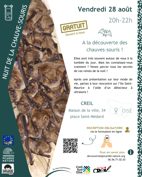 Nuit de la chauve-souris | À la découverte des chauve-souris