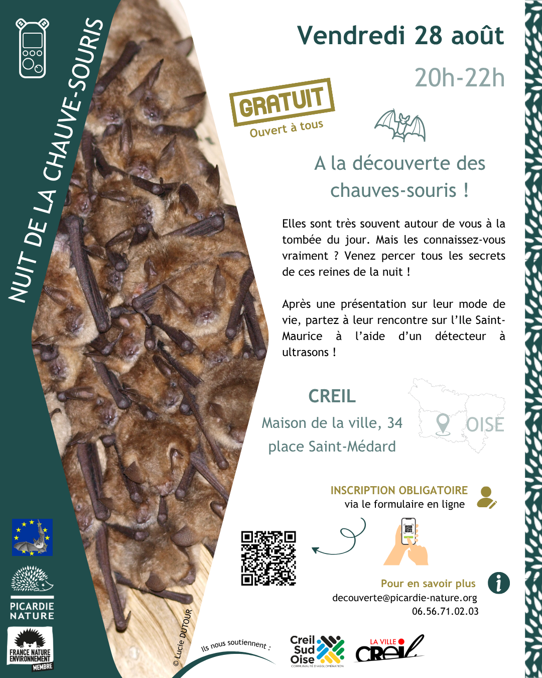 Nuit de la chauve-souris | À la découverte des chauve-souris