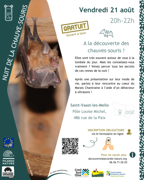 Nuit de la chauve-souris | À la découverte des chauve-souris