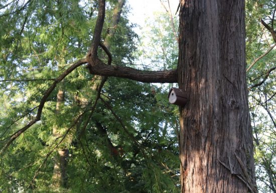 Parc Hébert