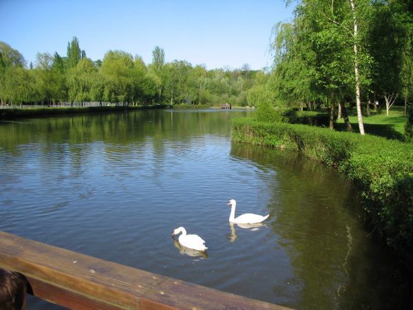 Visite guidée: « Le parc écologique de Senlis, la nature en partage »