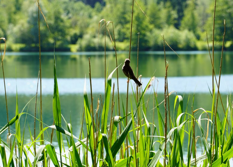 Berges du Thérain à Montataire - Urheberrecht: Creil Sud Oise Tourisme_Tartaglione Anthony