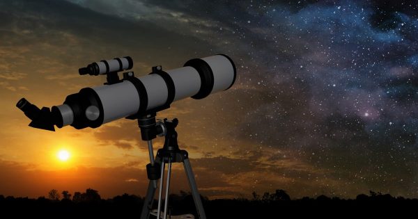 Sortie Nature « Le petit monde de la nuit : chauve-souris et ciel étoilé » au Domaine de Chaalis