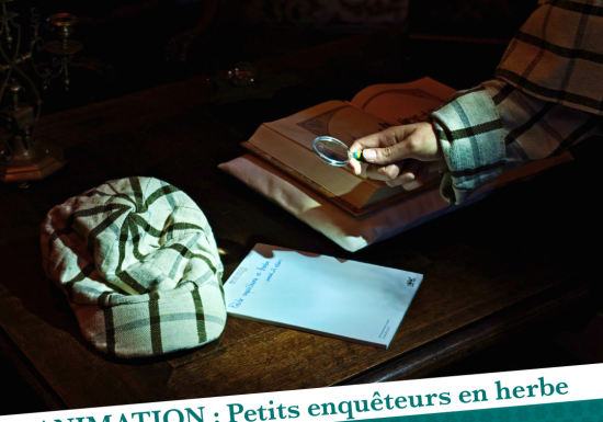 Petits enquêteurs en herbe