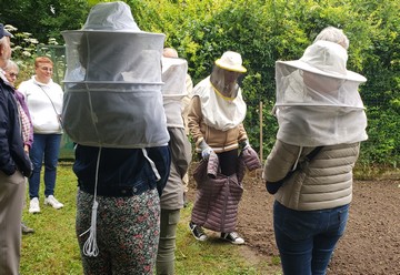 A la rencontre des abeilles