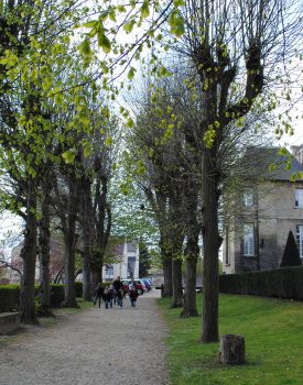 Garten des Rathauses.