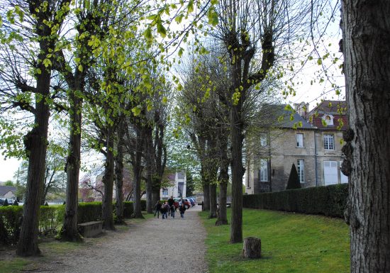 Jardin de la mairie
