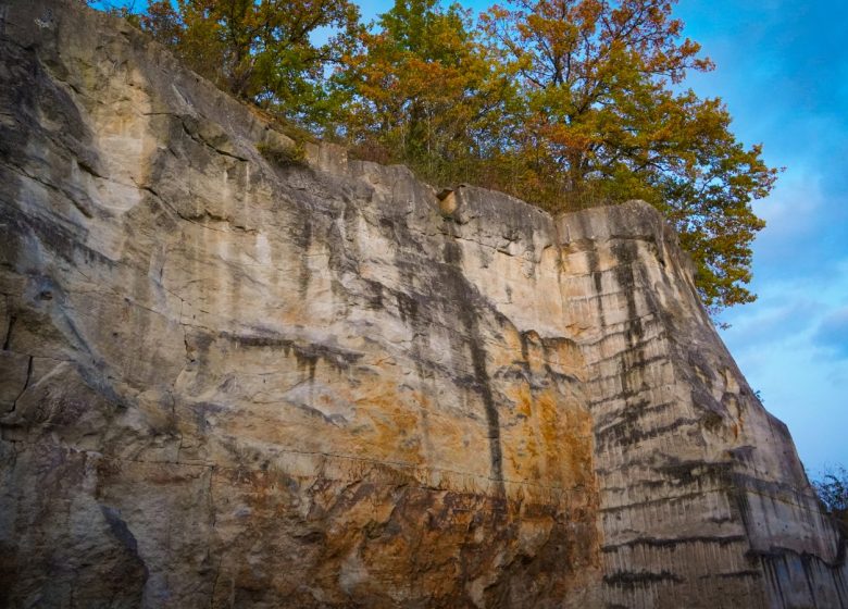 Site d'escalade Le Larris - Droit d'auteur : Creil_Sud_Oise_Tourisme