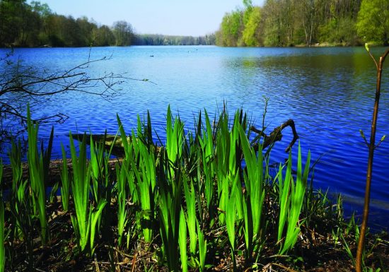 Festival de l'Oiseau | ¡Celebremos los pájaros!