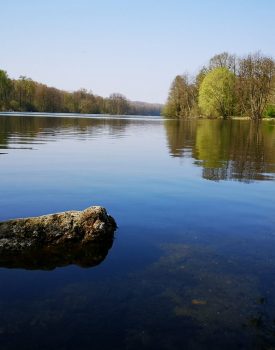 Marismas de Chantraine