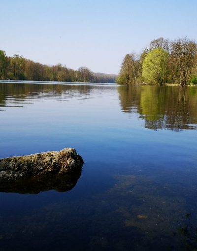 Marais de Chantraine