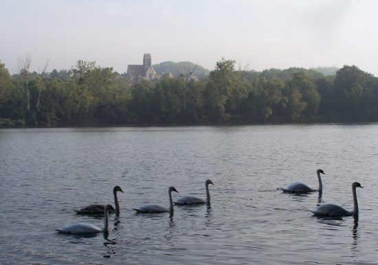 Marais de Chantraine