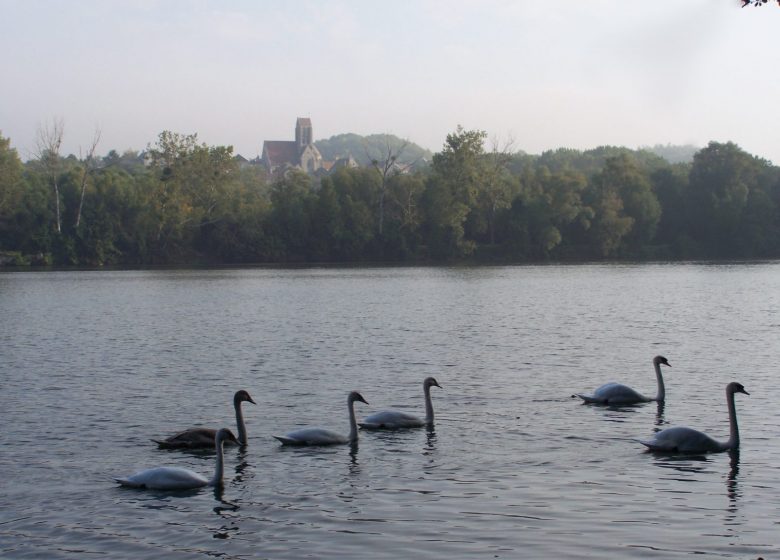 Marais de Chantraine - Copyright : Office de Tourisme Creil Sud Oise_Anthony
