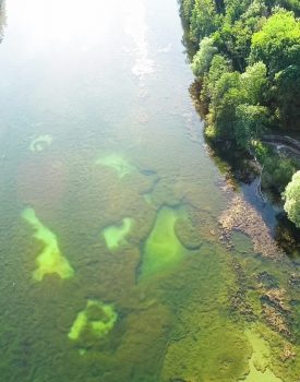 Marais de Chantraine