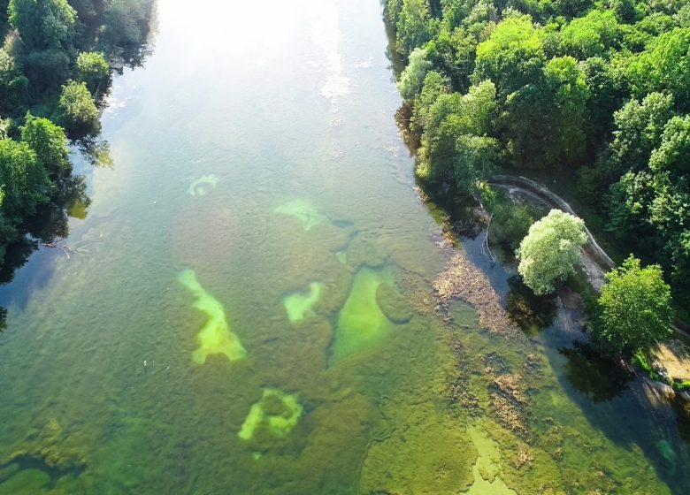 Marais de Chantraine - Derechos de autor : Office de Tourisme Creil Sud Oise_Anthony