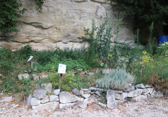 Der pädagogische Garten des Grabens