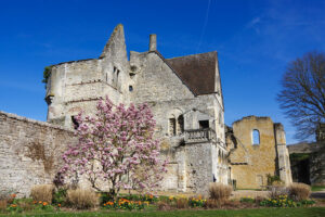Visite Guidée « Senlis au temps de Saint Louis »