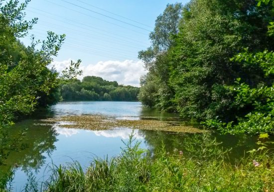 Etang de Thiverny