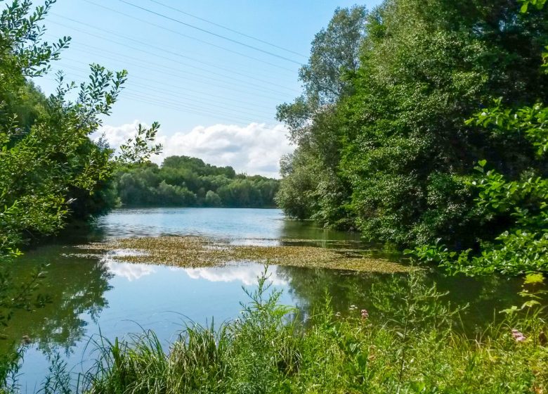 Etang de Thiverny - Auteursrecht: Creil Sud Oise Tourisme_Riaudel Floriane