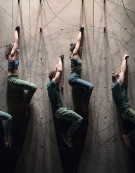 Danse | Vertikal