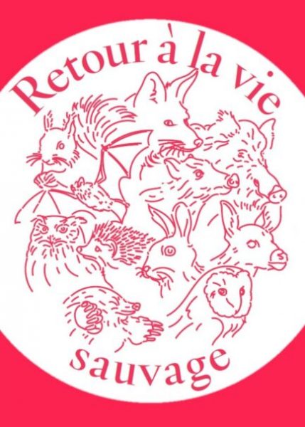Visite-atelier « Retour à la vie sauvage » au Domaine de Chaalis