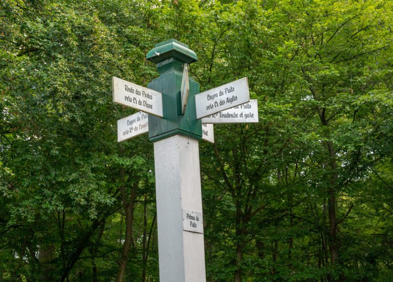 Le massif des trois forêts