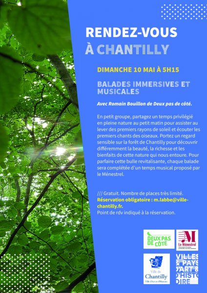 Balade immersives et musicales en forêt de Chantilly