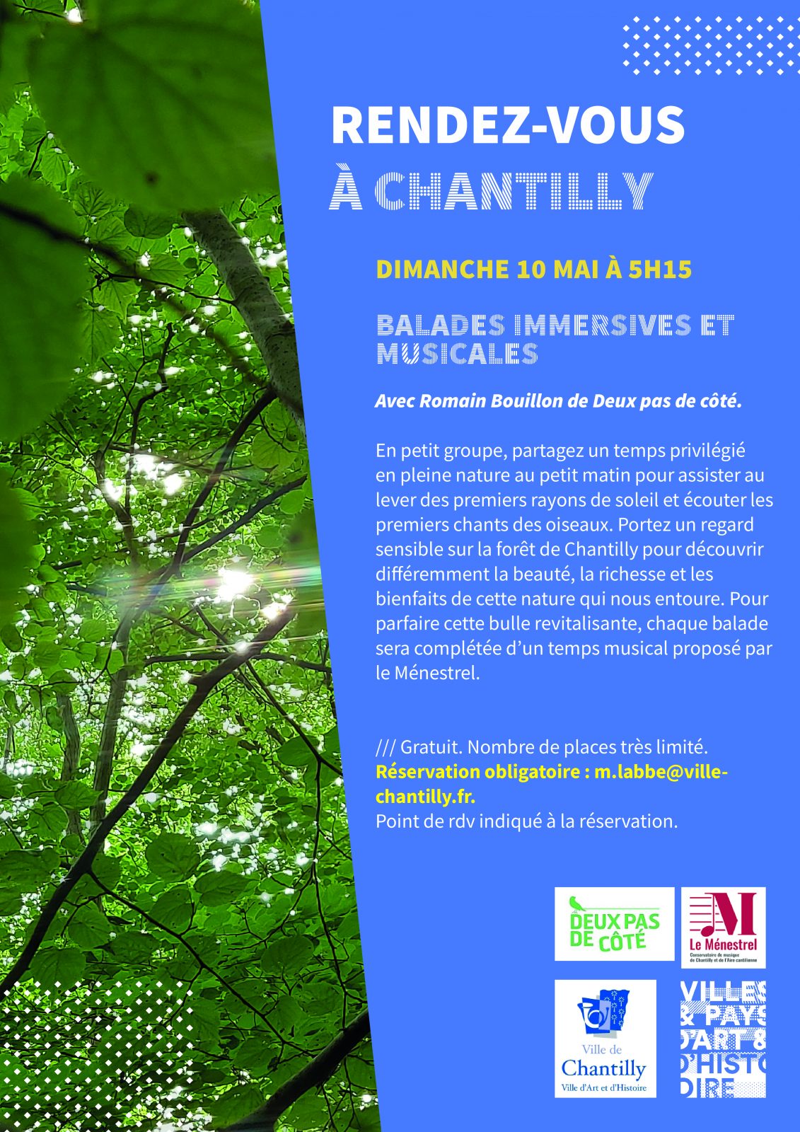 Balade immersives et musicales en forêt de Chantilly