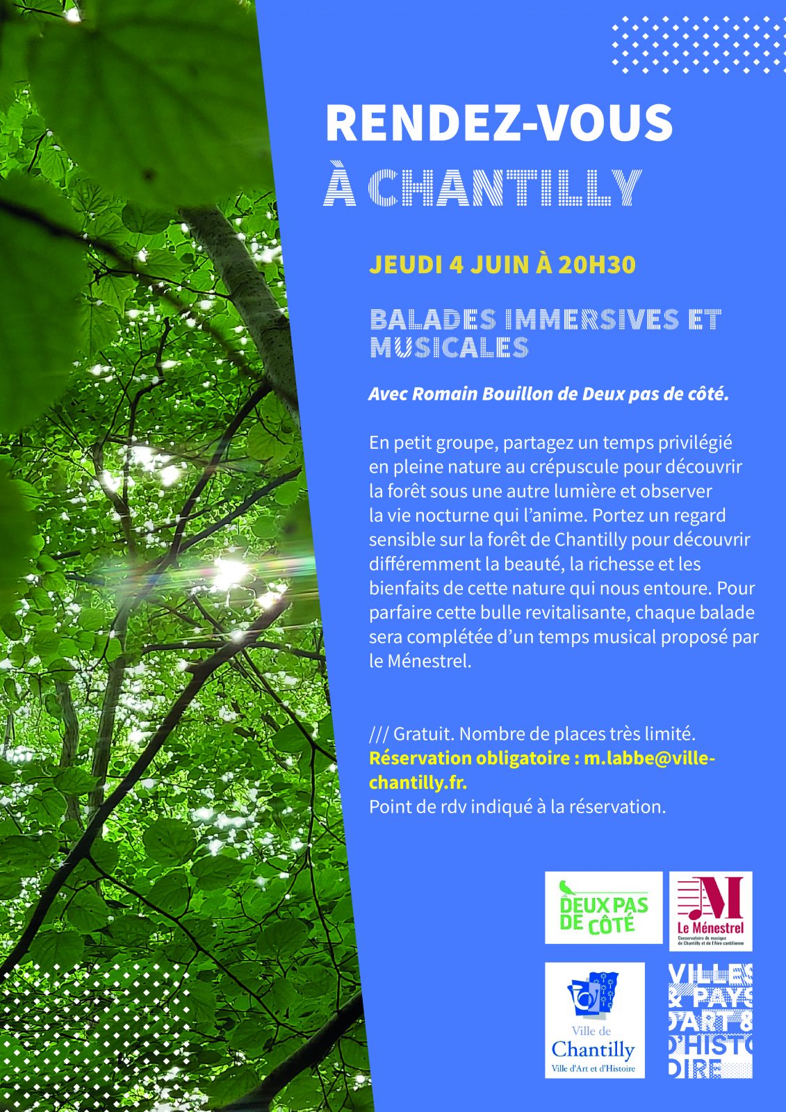 Balade immersives et musicales en forêt de Chantilly