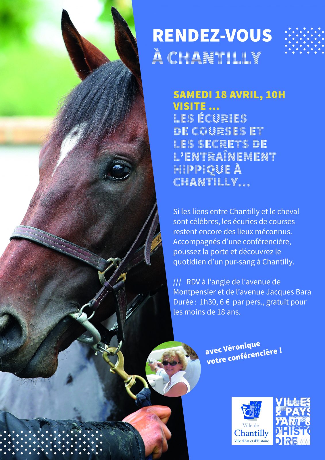 Guided tour "The racing stables and the secrets of horse training in Chantilly