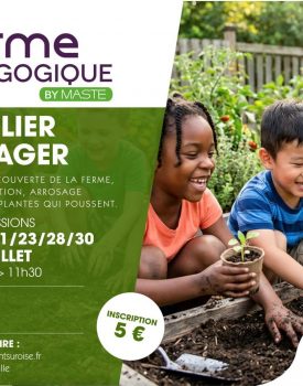 MASTE – Atelier potager