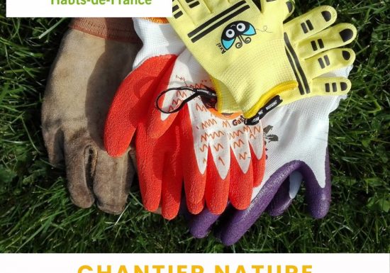 Ausflug in die Natur | Natur-Workcamp in Saint-Vaast-lès-Mello