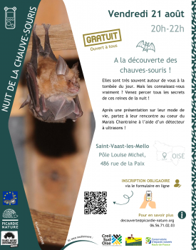 Sortie nature | « A la découverte des chauve-souris ! »